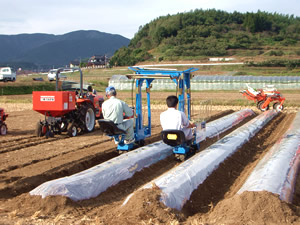 たばこ | 中九州クボタ（えーはなし〔作物研究会〕） | 熊本県 大分県 クボタ 農業機械 中古農機具